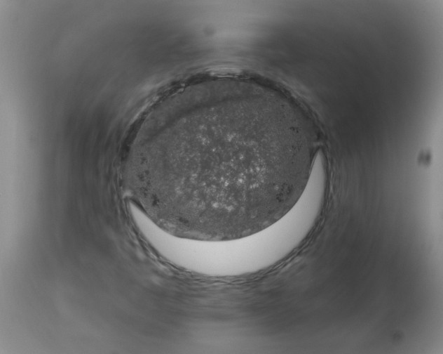 X0000113571445200910021618