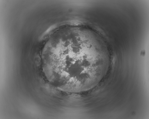 X0000113571446200910021618