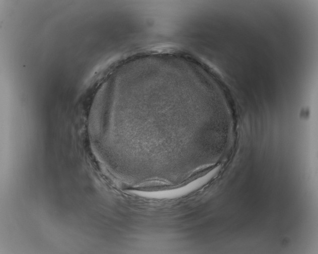 X0000113571447200910021618