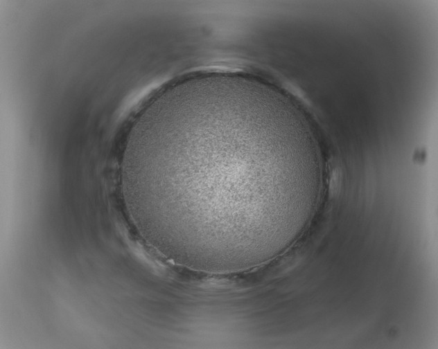 X0000113571448200910021618