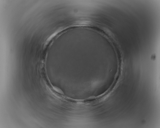 X0000113571449200910021618