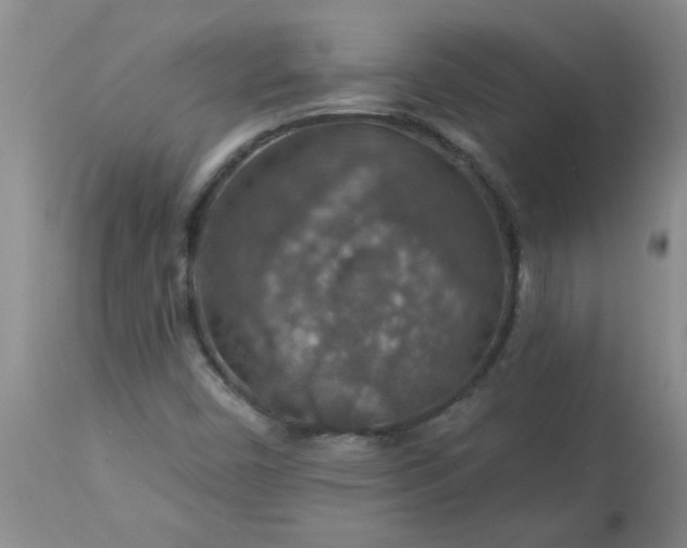 X0000113571450200910021618
