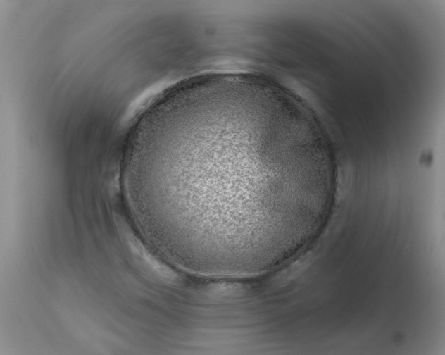 X0000113571451200910021618