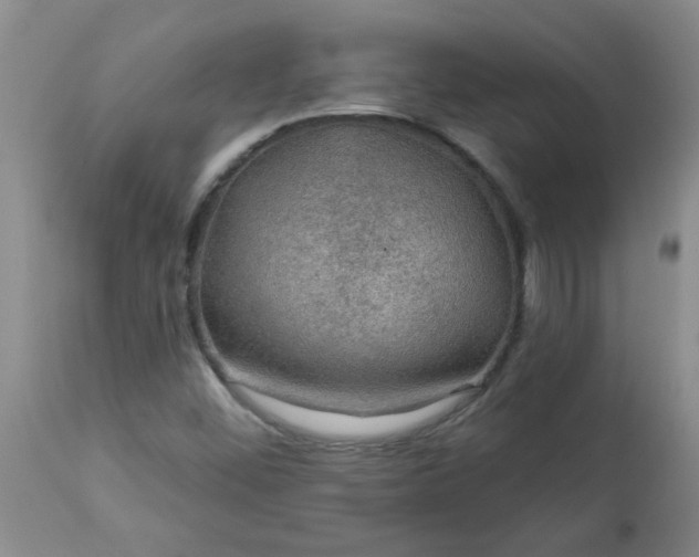 X0000113571452200910021618