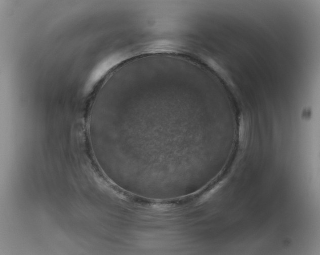 X0000113571453200910021618