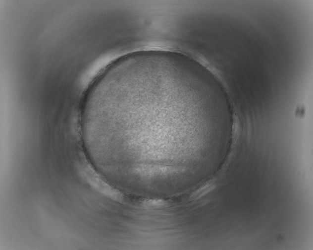 X0000113571454200910021618