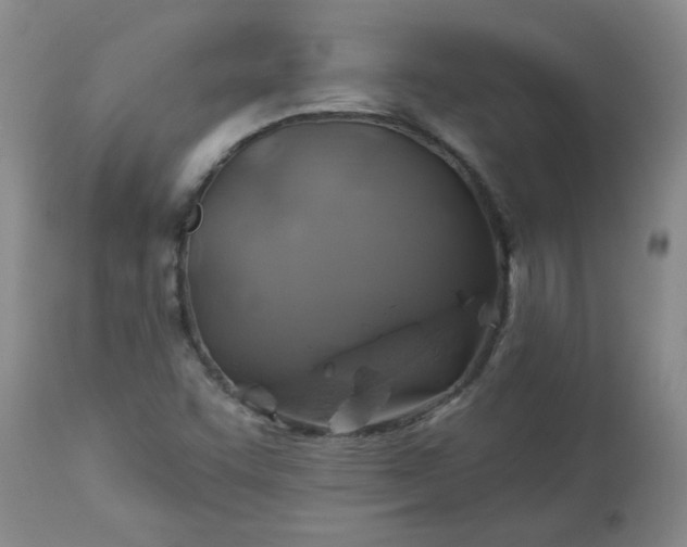 X0000113571455200910021618