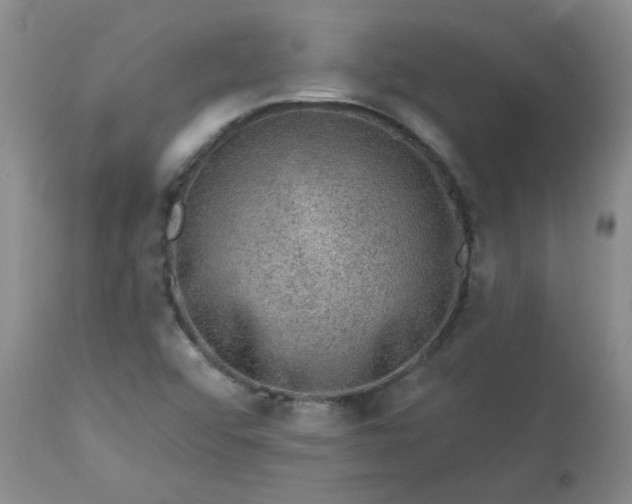 X0000113571456200910021618