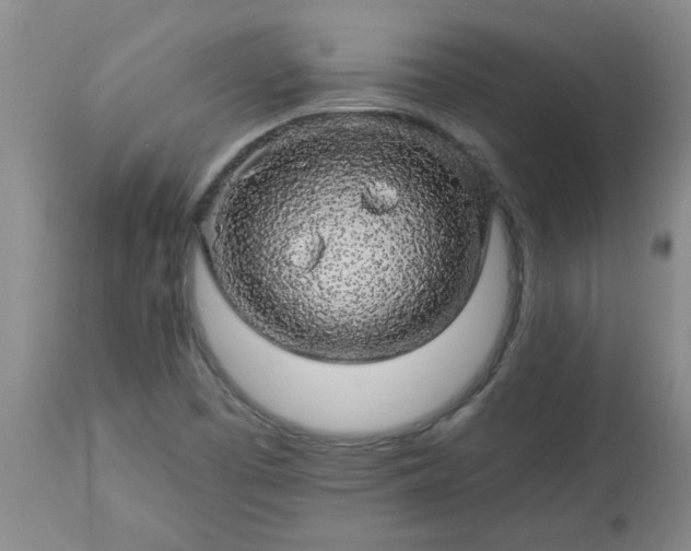 X0000113571457200910021618