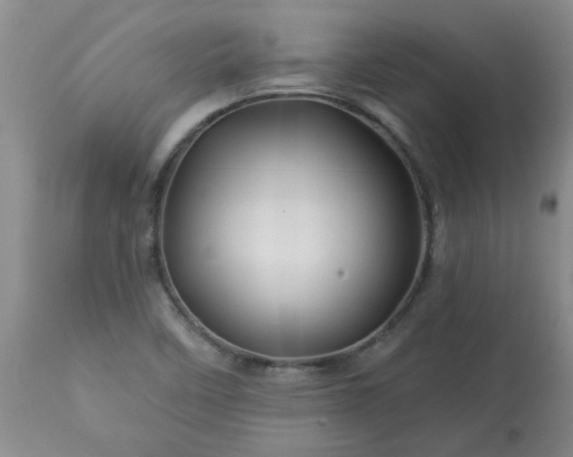 X0000113571458200910021618