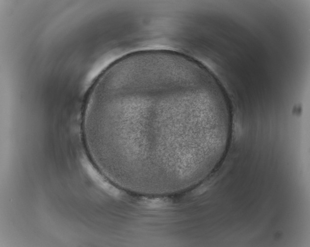 X0000113571460200910021618