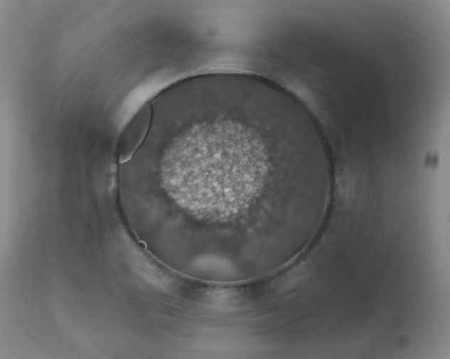 X0000113571461200910021618