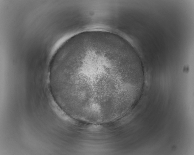 X0000113571462200910021618