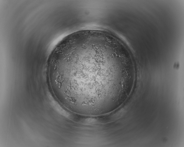 X0000113571463200910021618