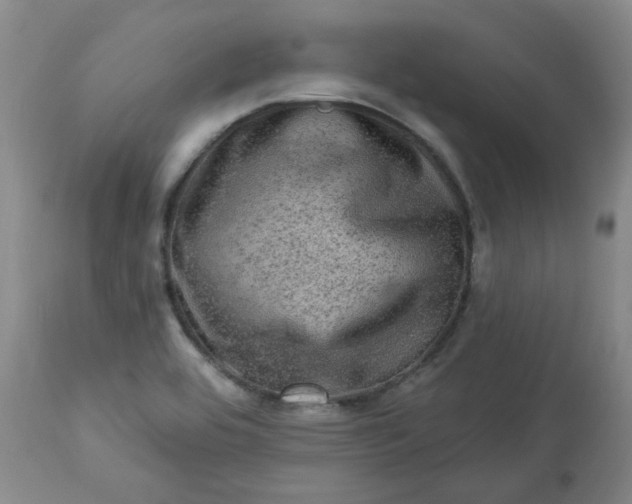 X0000113571464200910021618
