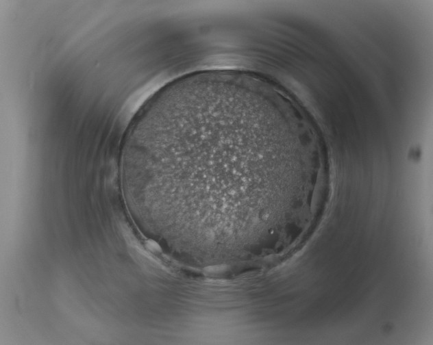 X0000113571465200910021618