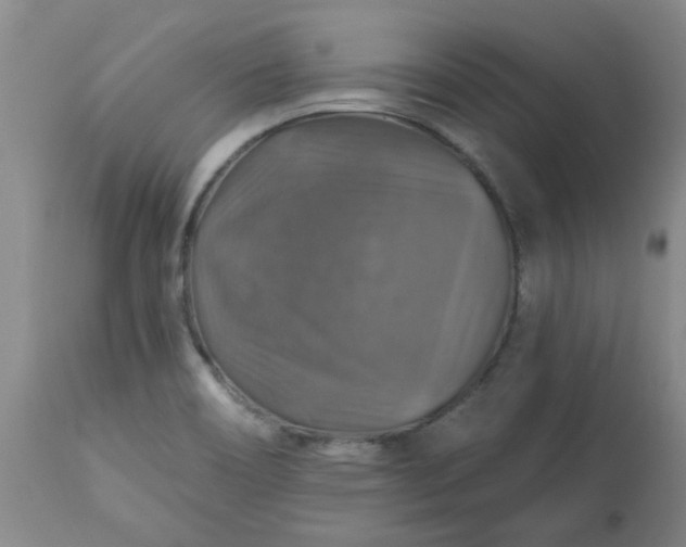X0000113571466200910021618