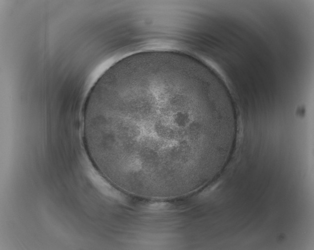 X0000113571467200910021618