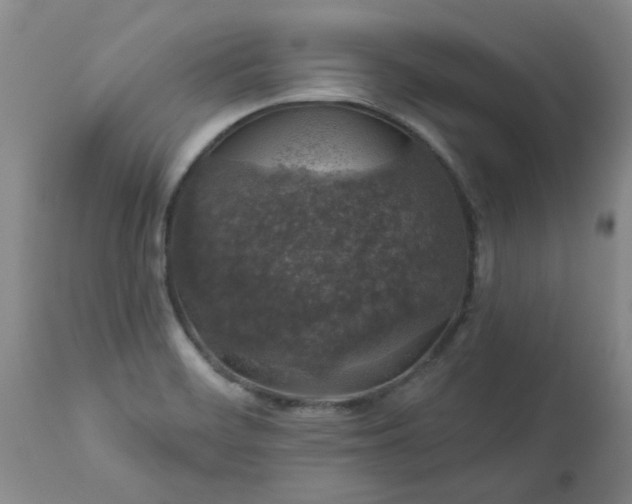 X0000113571468200910021618