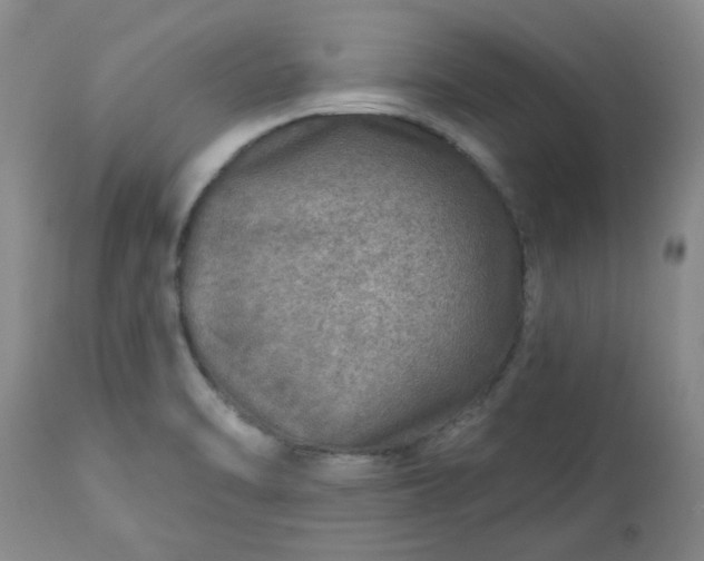 X0000113571470200910021618