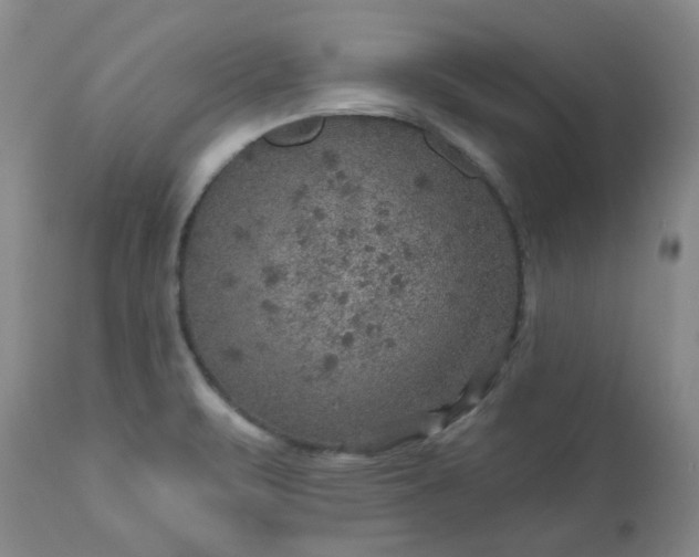 X0000113571471200910021618