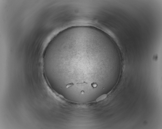 X0000113571472200910021618