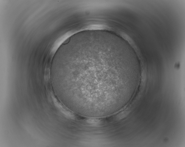 X0000113571473200910021618