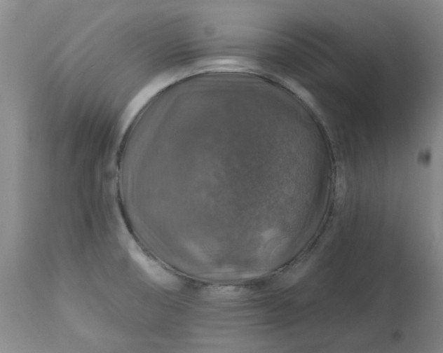 X0000113571474200910021618