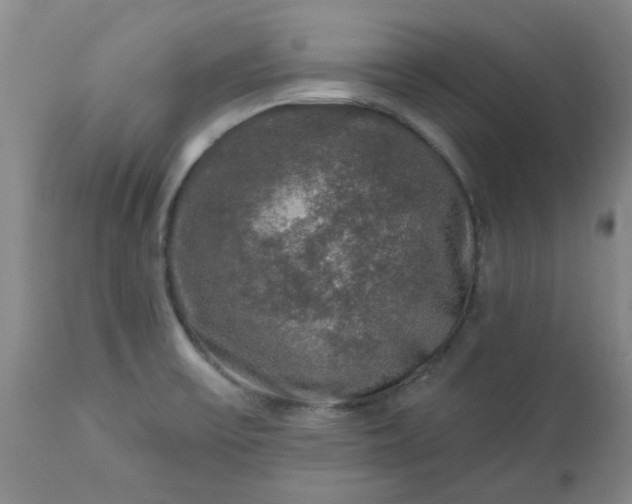X0000113571475200910021618