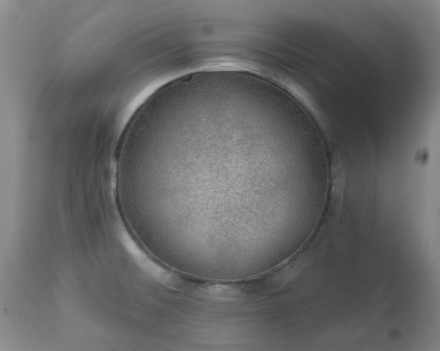 X0000113571476200910021618
