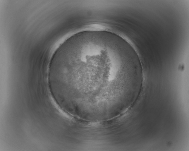 X0000113571477200910021618
