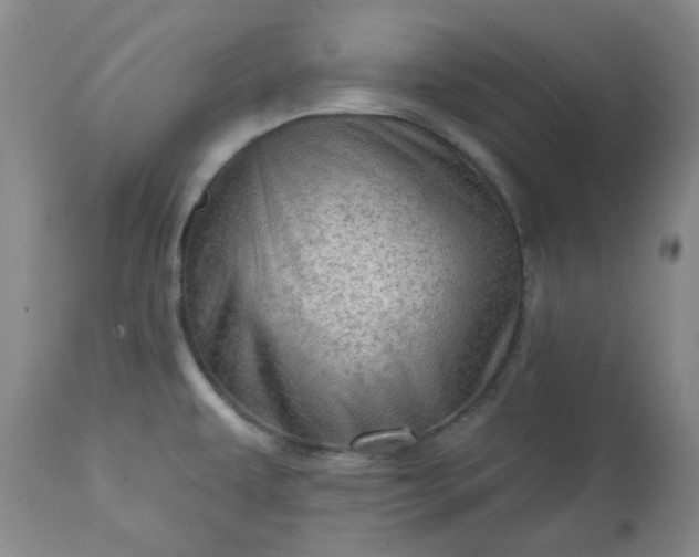 X0000113571479200910021618