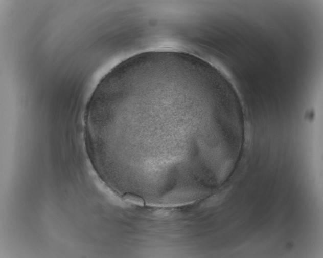 X0000113571480200910021618