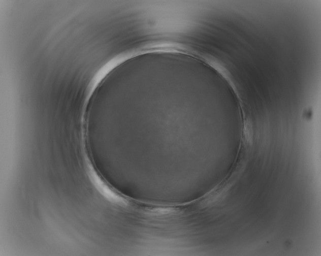 X0000113571482200910021618