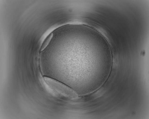 X0000113571484200910021618