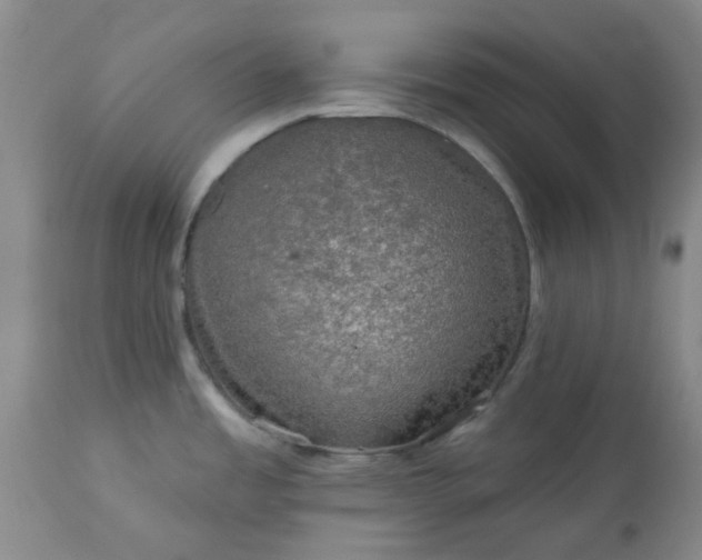 X0000113571485200910021618