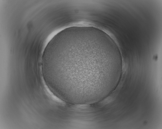 X0000113571486200910021618