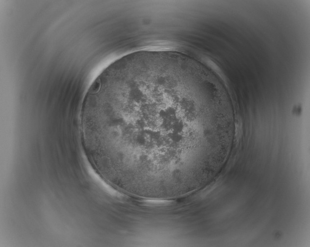 X0000113571487200910021618