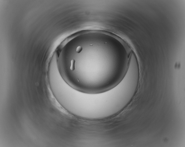 X0000113571488200910021618