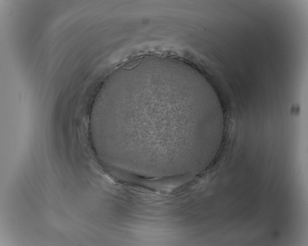 X0000113571489200910021617