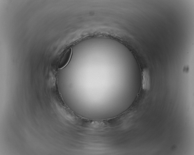 X0000113571491200910021617