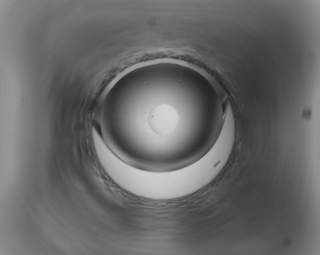 X0000113571492200910021617
