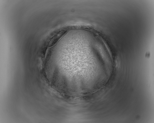 X0000113571493200910021617