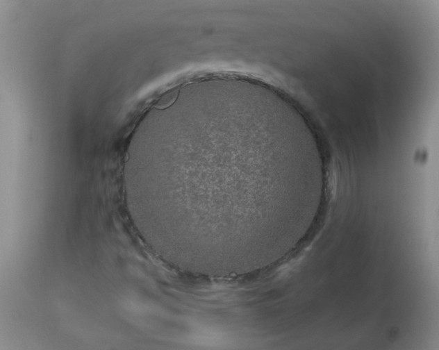 X0000113571494200910021617
