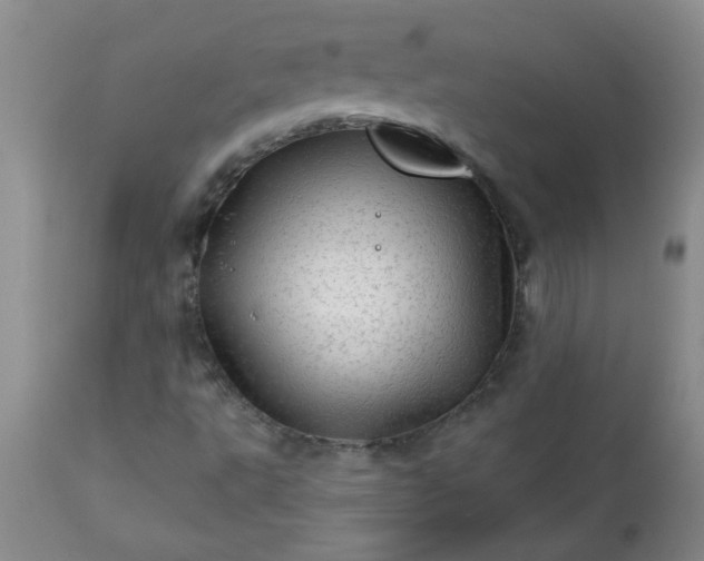 X0000113571495200910021617