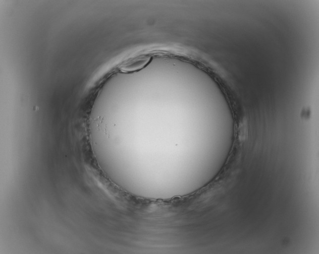 X0000113571496200910021617