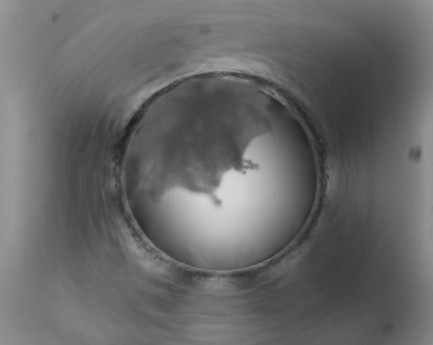 X0000113571497200910021617