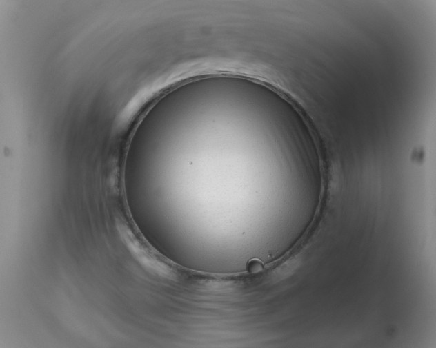 X0000113571499200910021617