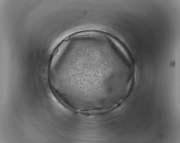 X0000113571500200910021617