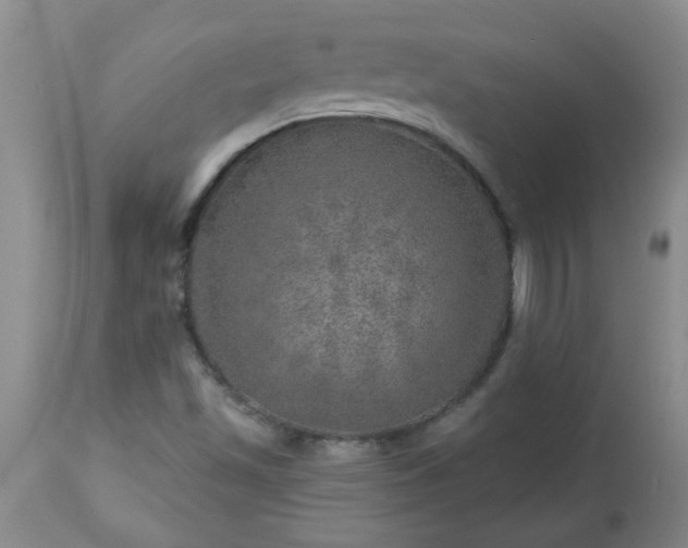 X0000113571501200910021617